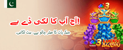 آپ کا پسندیدہ کیسینو
