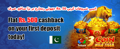 روزانہ VIP کیش بیک