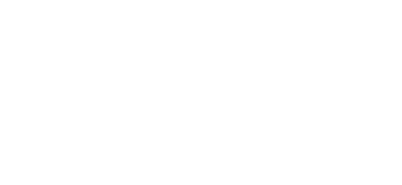 Partner 2